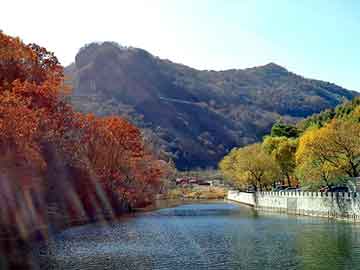 天天彩好彩天天免费，汽车天然气钢瓶价格